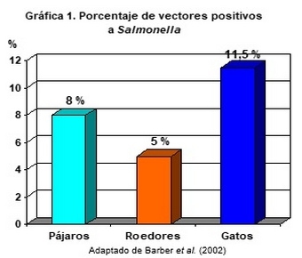 Efecto de la presencia de pájaros y roedores en la contaminación de los piensos por Salmonella - Image 1
