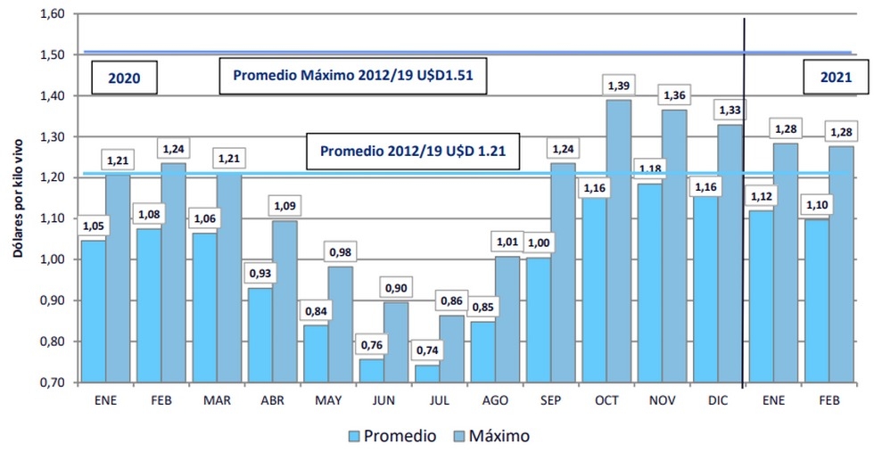 Argentina - Informe del Sector Porcino Argentino: Febrero 2021 - Image 1