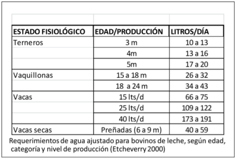 El agua en el tambo - Parte 1 - Image 3