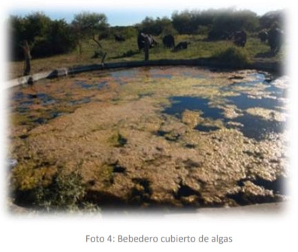El agua en el tambo Hacia una seguridad hídrica en los establecimientos tamberos Almacenamientos Parte 3 - Image 4