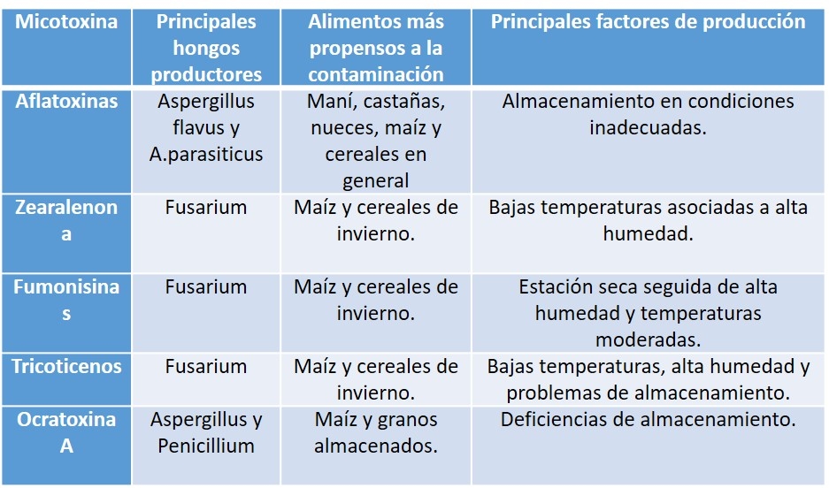 Micotoxinas: conceptos de control - Image 1