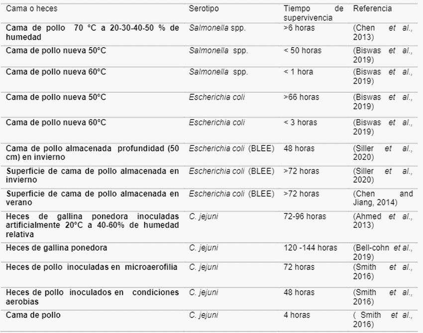 Cama de aves de corral un factor importante en la seguridad alimentaria* - Image 2