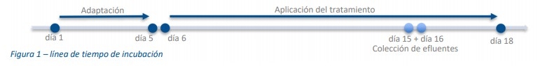 B-Traxim Pro4: una fuente de cobalto eficiente para producir vitamina B12 en el rúmen - Image 1