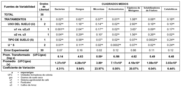 Cuadro 2. Análisis de Varianza para el estudio de diversidad microbiana en sistemas agroforestales de café (Coffea arabiga), y cultivos de pastos y arroz (Oriza sativa) en dos tipos de suelo al Sur de Manabí. 2004