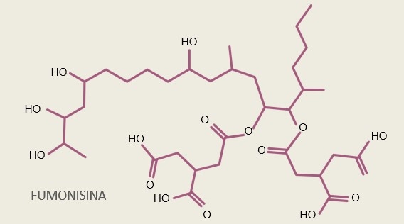 Micotoxinas en avicultura II - Image 8