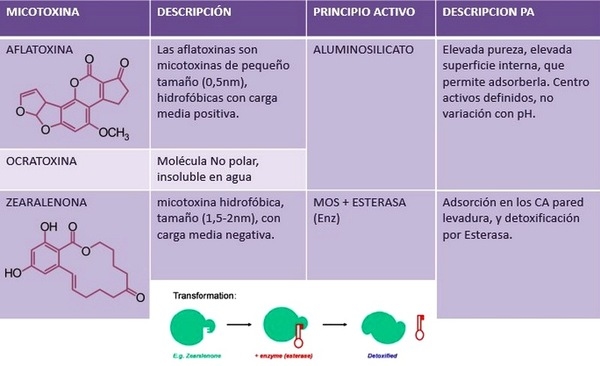 Micotoxinas en avicultura II - Image 10