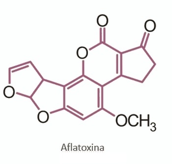 Micotoxinas en avicultura II - Image 1