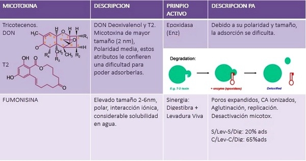 Micotoxinas en avicultura II - Image 11