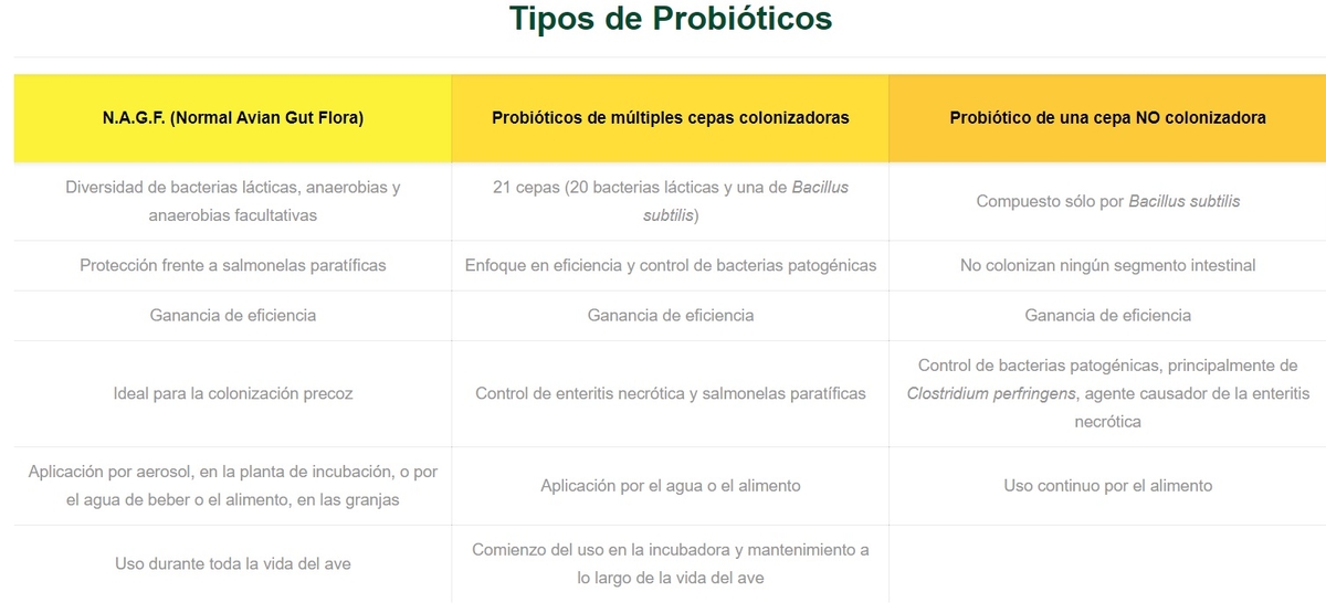 ¿Qué probiótico es el más indicado para su negocio? - Image 1