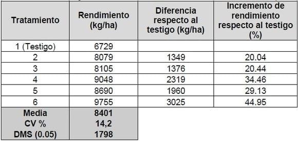 Efecto de fungicidas foliares y momento de aplicación sobre la severidad de tizón foliar y enfermedades de raíz y tallo en maíz - Image 6