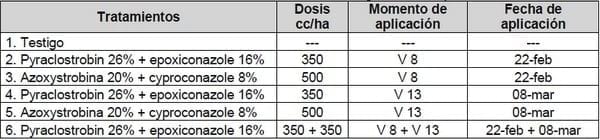 Efecto de fungicidas foliares y momento de aplicación sobre la severidad de tizón foliar y enfermedades de raíz y tallo en maíz - Image 1