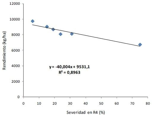 Efecto de fungicidas foliares y momento de aplicación sobre la severidad de tizón foliar y enfermedades de raíz y tallo en maíz - Image 8