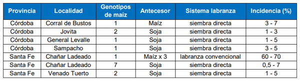 Tabla 1. Información relevada sobre S. reilianum durante la campaña 2020/21.
