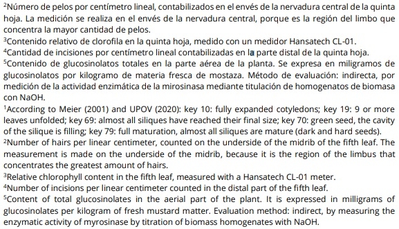 Obtención de la primera variedad argentina de mostaza india: SANTA CATALINA UNLP, para su utilización como biofumigante - Image 3