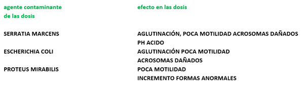 Cuadro 4 efectos de los distintos patogenos en la calidad seminal
