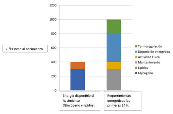 Claves de la eficiencia en el período del periparto y lactación - Image 1