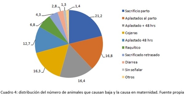 Cojeras de lechones en lactación - Image 4