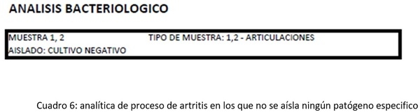 Cojeras de lechones en lactación - Image 6