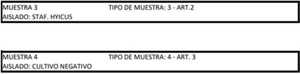 Cojeras de lechones en lactación - Image 8