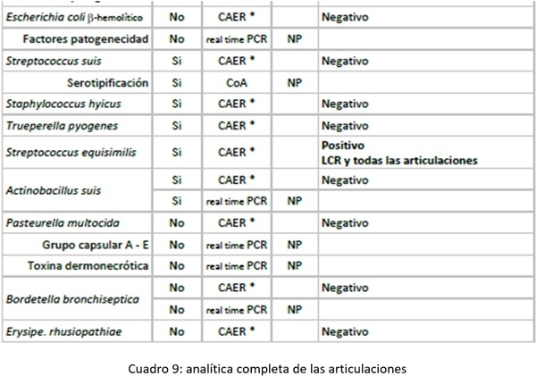 Cojeras de lechones en lactación - Image 9