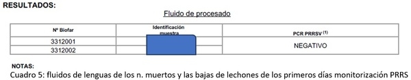 Cojeras de lechones en lactación - Image 5