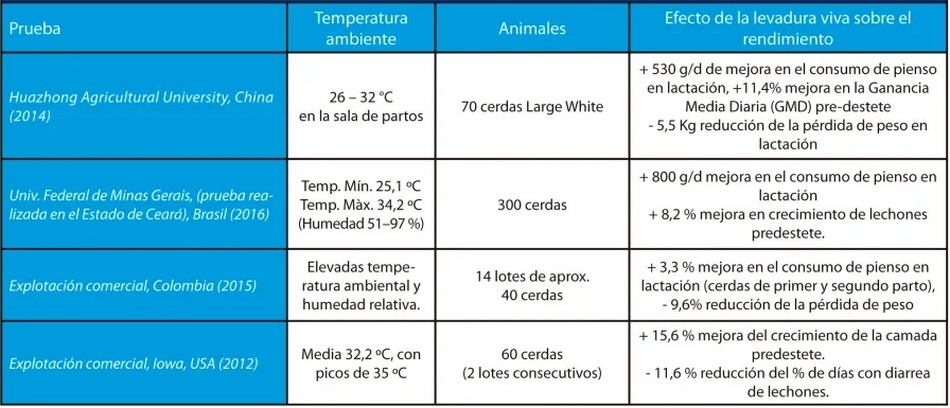 Estrés por calor en porcino: cómo mantener los rendimientos productivos de las cerdas - Image 4