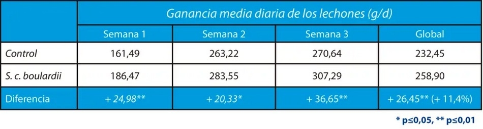 Estrés por calor en porcino: cómo mantener los rendimientos productivos de las cerdas - Image 7