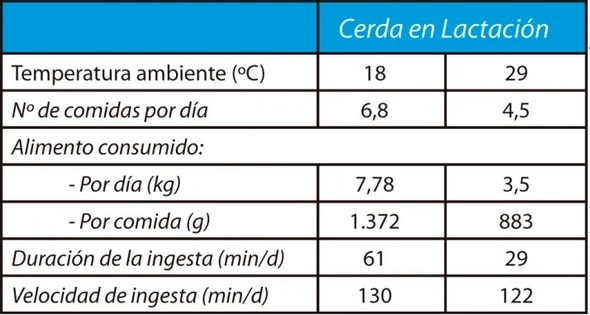 Estrés por calor en porcino: cómo mantener los rendimientos productivos de las cerdas - Image 3