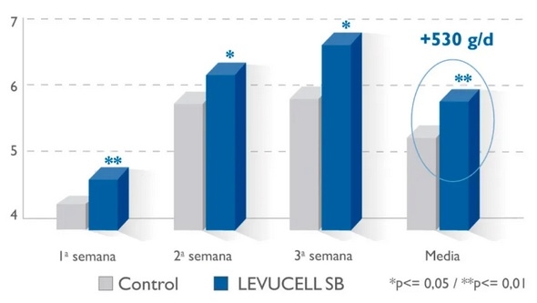 Estrés por calor en porcino: cómo mantener los rendimientos productivos de las cerdas - Image 6