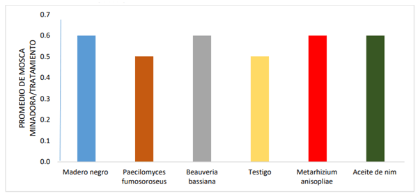 Gráfico 6. Promedio de moscas minadoras por tratamiento.