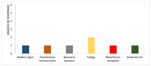 Gráfico 8. Grados de severidad por daños de mosca minadora.