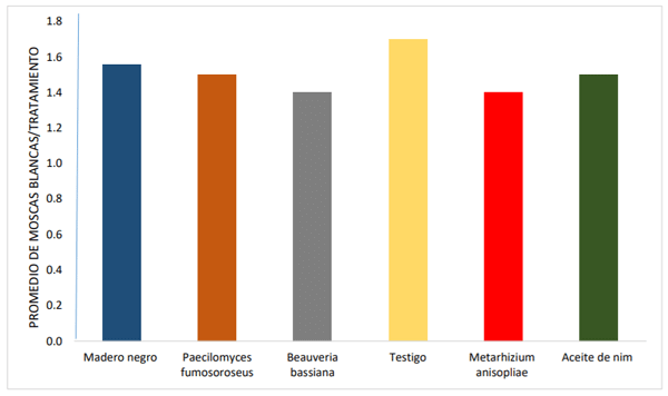 Gráfico 2. Promedio de moscas blancas por tratamiento