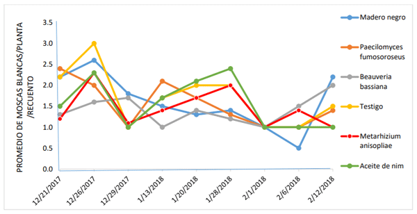 Gráfico 1.Fluctuación poblacional de Bemisia tabaci
