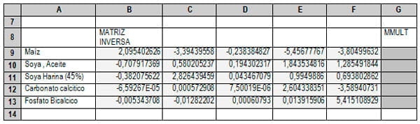 Excel aplicado a problemas de Nutrición Animal - Image 3