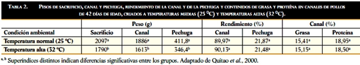 Efectos del estrés térmico sobre la calidad de la carne en los pollos de engorde - Image 3