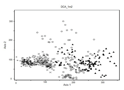 Figura 1. DCA diagrama de ordenación de 480 subparcelas en la escala de 1 m2 con la presencia / ausencia los datos de: (+) sitios excluidos no pastoreados de Festuca gracillima; (х) pastizales de F. gracillima en sitios pastoreados, (○) matorrales enanos de Empetrum rubrum en sitios no pastoreados; (▲) matorrales enanos de E. rubrum en los sitios de pastoreo.