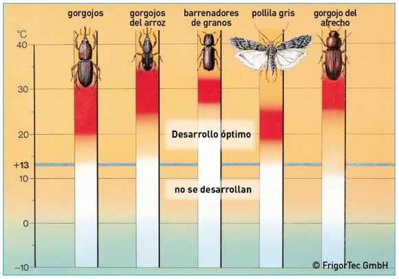 ¿Por qué la conservación en frío? - Image 1