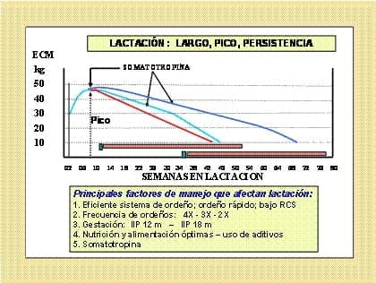 Nuevas tendencias en la producción lechera en Perú y en el Mundo - Image 9