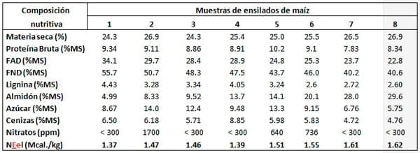 Utilización de maíz dañado por sequía como forraje. - Image 2