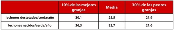 Estrategias nutricionales para las cerdas hiperprolíficas - Image 1