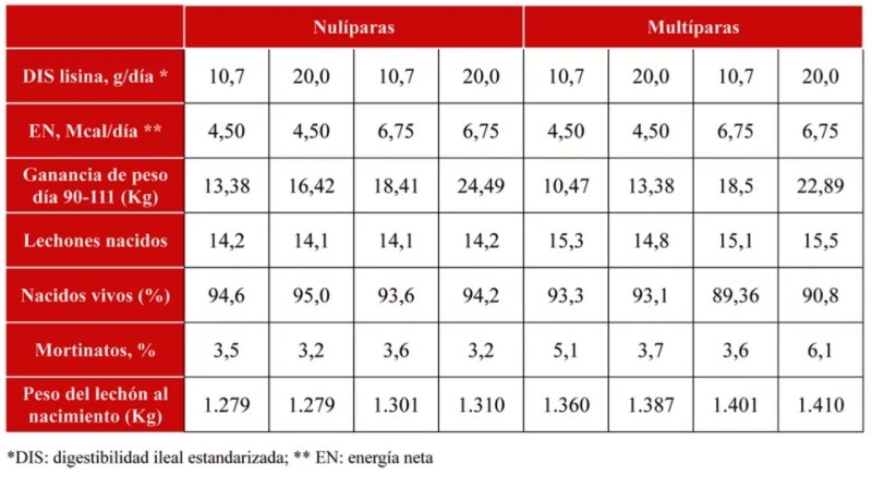Estrategias nutricionales para las cerdas hiperprolíficas - Image 2