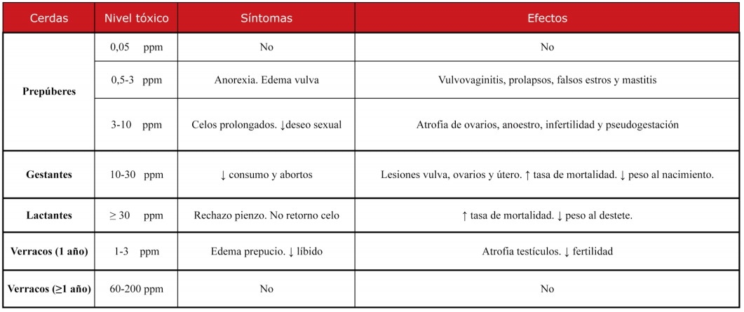 Efecto de las micotoxinas en el ganado porcino - Image 5
