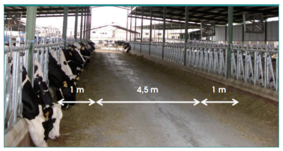 Figura 4. Anchura recomendada del pasillo de distribución de alimento