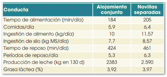 Tabla 2. Diferencias de conducta entre novillas alojadas separadamente o con el esto de las vacas (Fuente: tomado de McFarland, 2000)