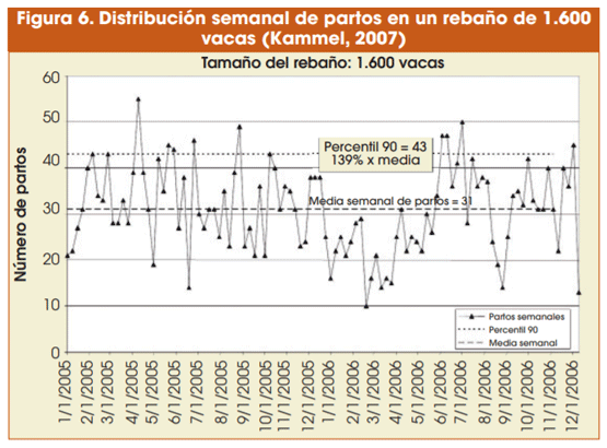 Figura 6. Distribución semanal de partos en un rebaño de 1.600 vacas (Kammel, 2007)