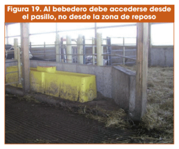 Figura 19. Al bebedero debe accederse desde el pasillo, no desde la zona de reposo