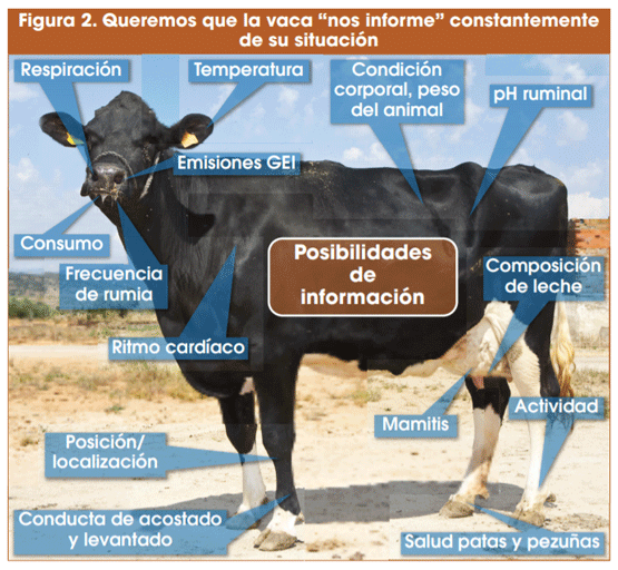 Figura 2. Queremos que la vaca “nos informe” constantemente de su situación