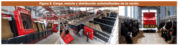 Figura 5. Carga, mezcla y distribución automatizadas de la ración