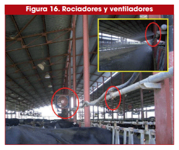 Figura 16. Rociadores y ventiladores