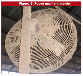 Figura 6. Pobre mantenimiento